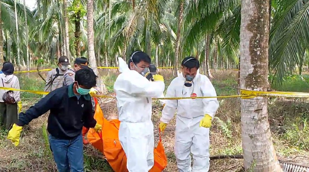 Terungkap! Mayat Yang Ditemukan Di Kebun Kelapa Adalah Korban Pembunuhan