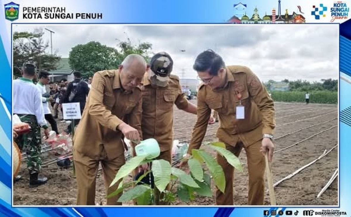 Hadiri HKTI dan Tanam Padi, Wawako Azhar Perkuat Sinergi Petani