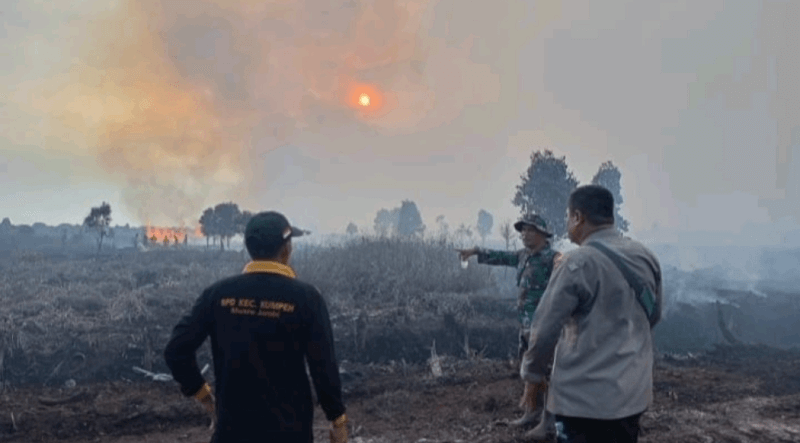 Ratusan Hektar Lahan di Desa Rantau Panjang Hangus Terbakar, Warga Mulai Keluhkan Kabut Asap