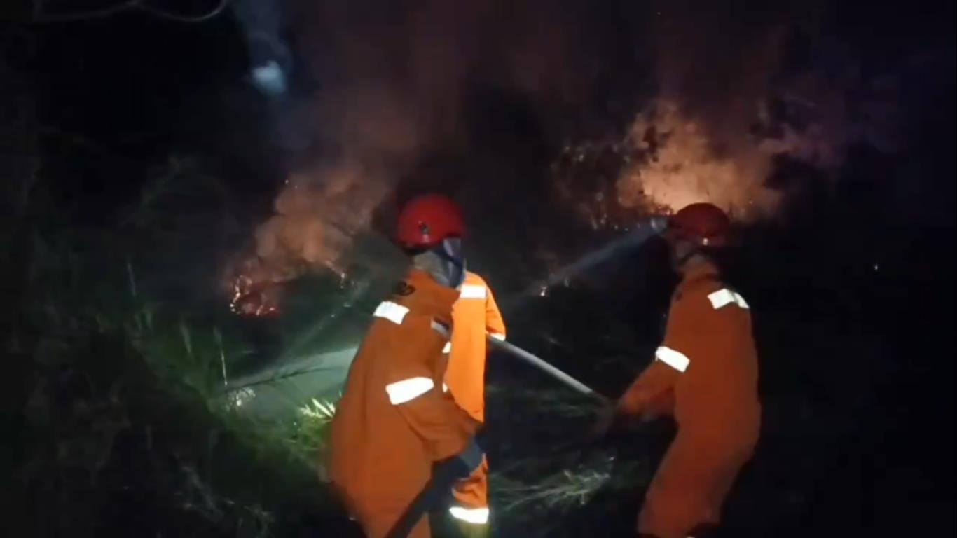 Tiga Hektare Lahan Semak Belukar di Muara Tembesi Terbakar