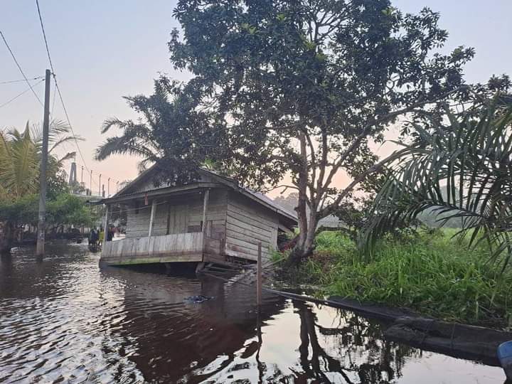 Warga Terancam, Rumput  Kumpeh Kembali Merobohkan Puluhan Rumah