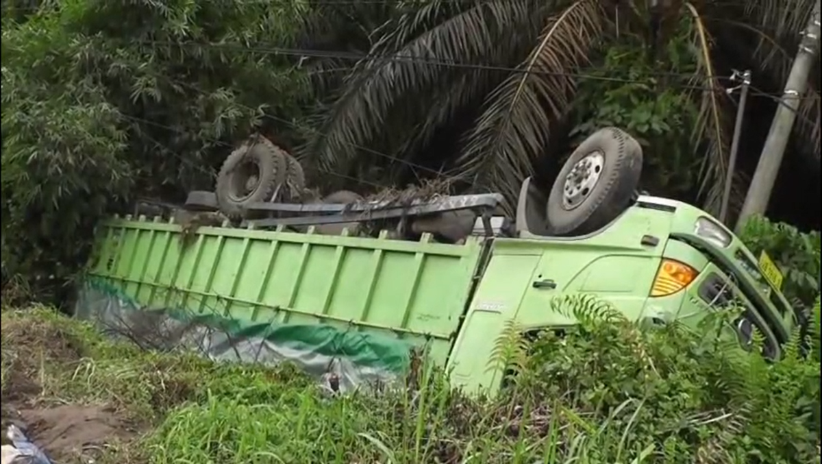 Gagal Menanjak, Truk Ekspedisi Terjun ke Jurang 5 Meter di Muaro Jambi, Sopir dan Keluarga Selamat