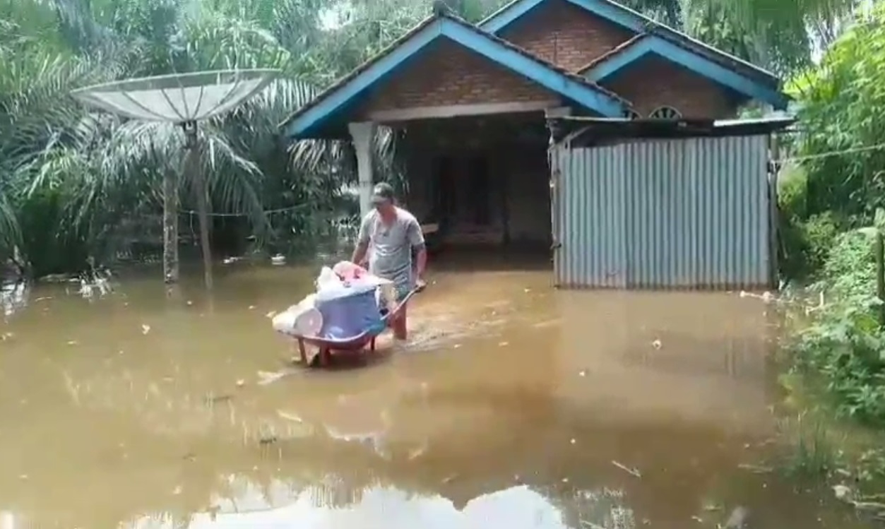 7 Rumah Warga Terendam Banjir Akibat Gorong-Gorong Jalan Lintas Sumatera Tersumbat