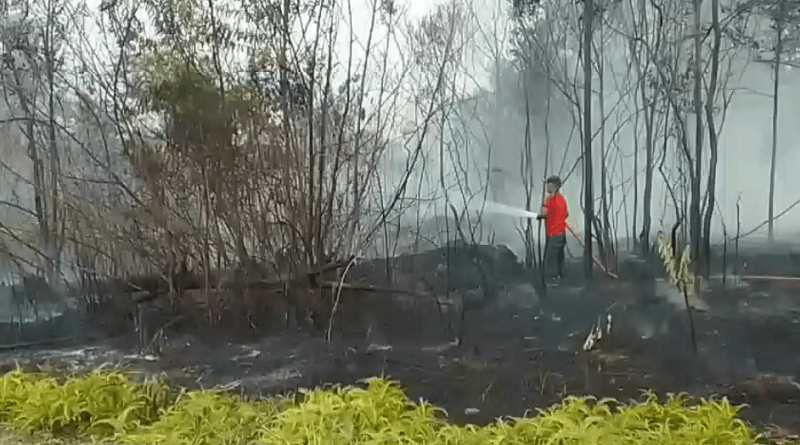 Karhutla di Tebo Hanguskan Lahan di Belakang Rumah Dinas Bupati Tebo