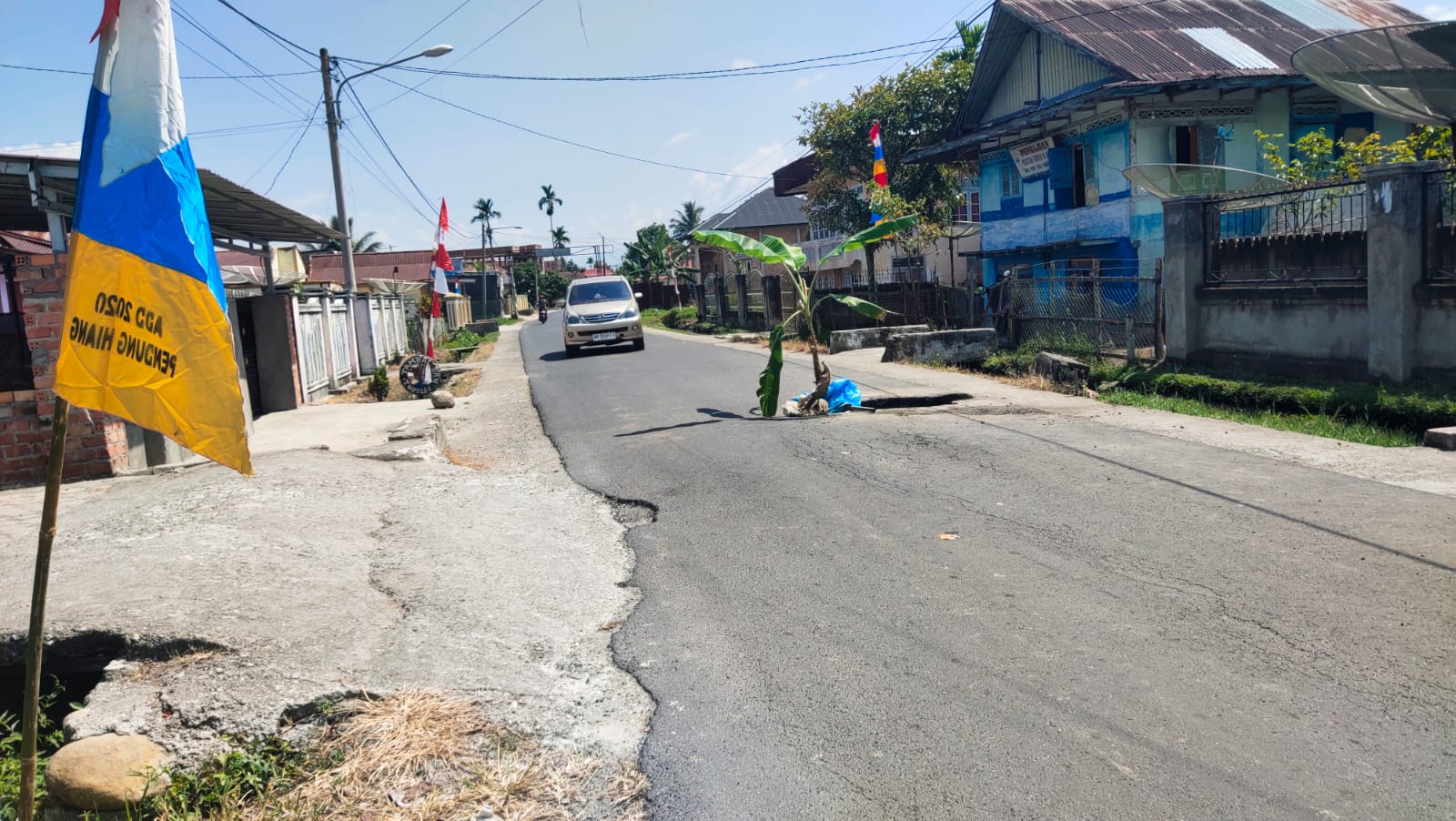 Warga Desa Pendung Hiang Tanam Pisang di Jalan Berlobang