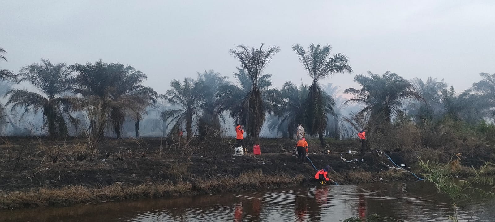 Api Muncul lagi, Danrem Pimpin Pemadaman Kebakaran Lahan di desa Ramin