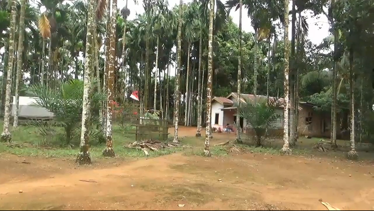 Puluhan Tahun Tanpa Listrik Warga Dusun Geragai Minta Pemerintah Bertindak