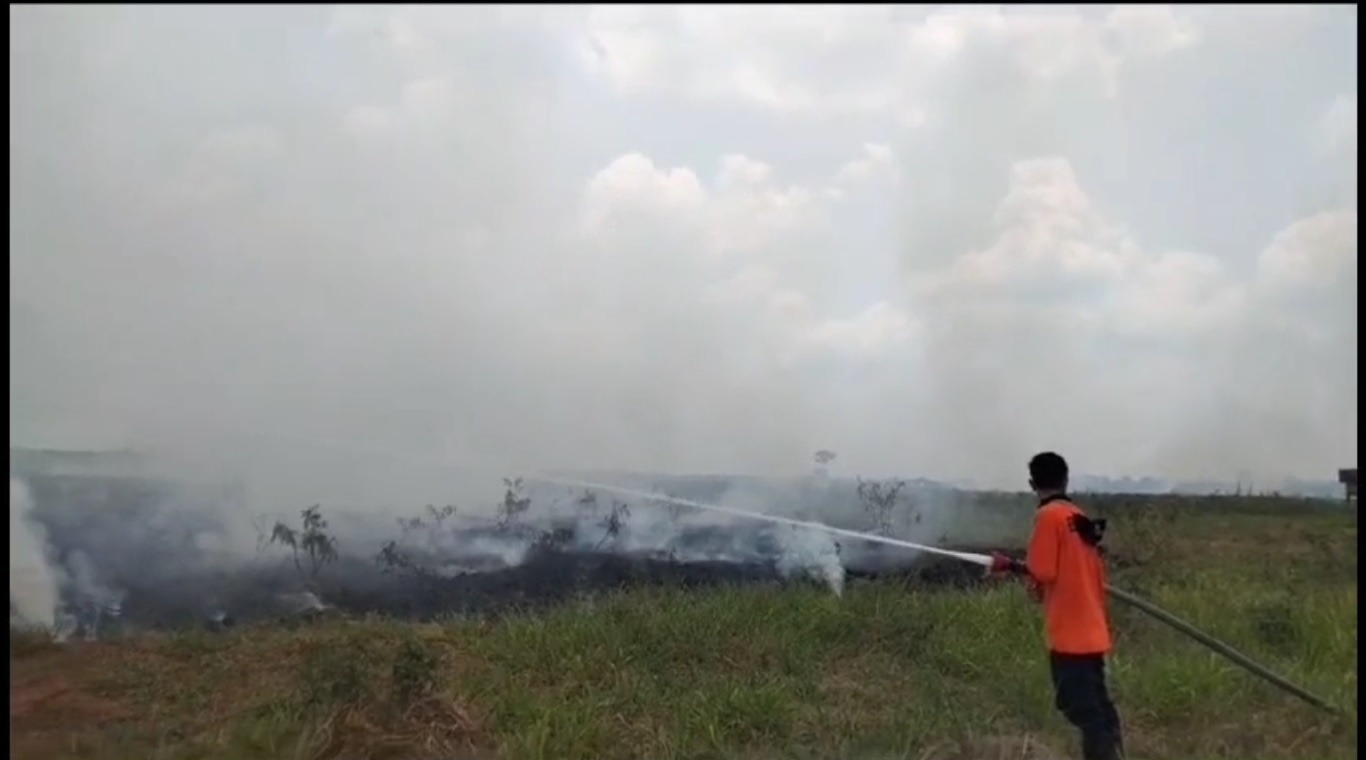 Kebakaran Lahan di Sumber Jaya, Lahan Mineral Seluas 3 Ribu Meter Terbakar