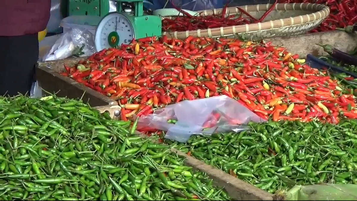 Harga Cabai di Kuala Tungkal, Kabupaten Tanjab Barat Alami Kenaikan