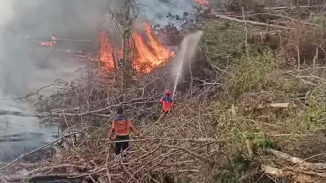 Dua Hektare Lahan di Batang Hari Terbakar, Petugas Berjibaku Selama 4 Jam