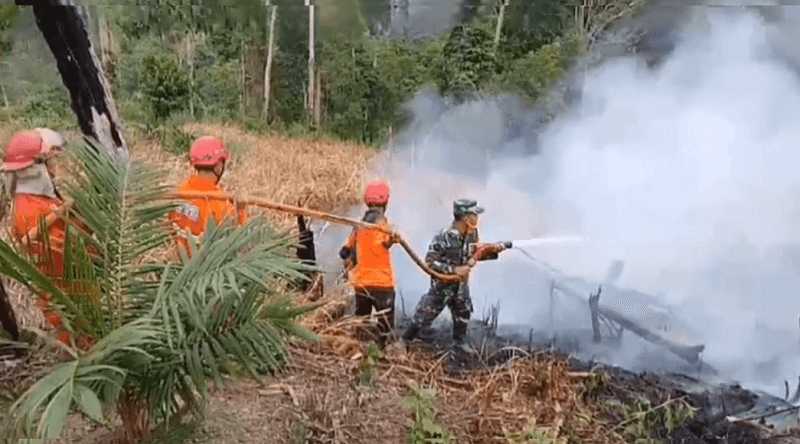 Karhutla di Batanghari Kembali Hanguskan 20 Hektar Lahan Tahura 