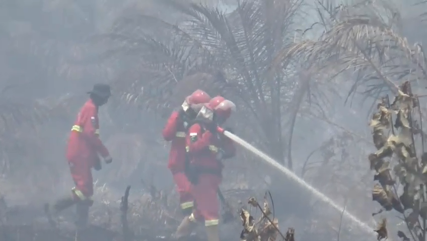 Risiko Karhutla Masih Tinggi, Al Haris Terus Pantau Titik Api