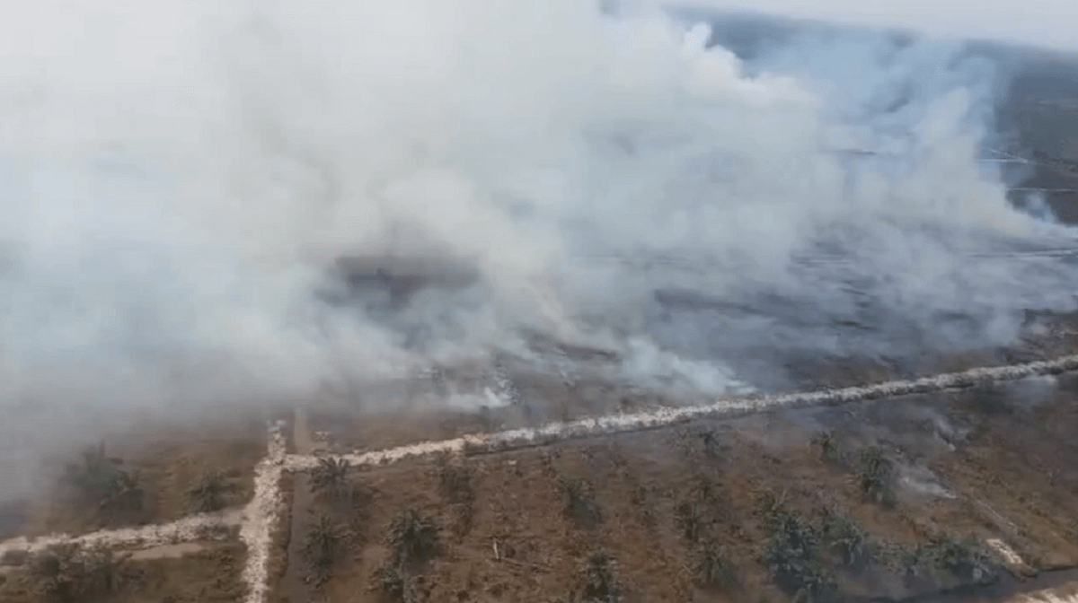 Kebakaran Hutan dan Lahan di Provinsi Jambi Telah Mencapai 1.063,75 Hektare