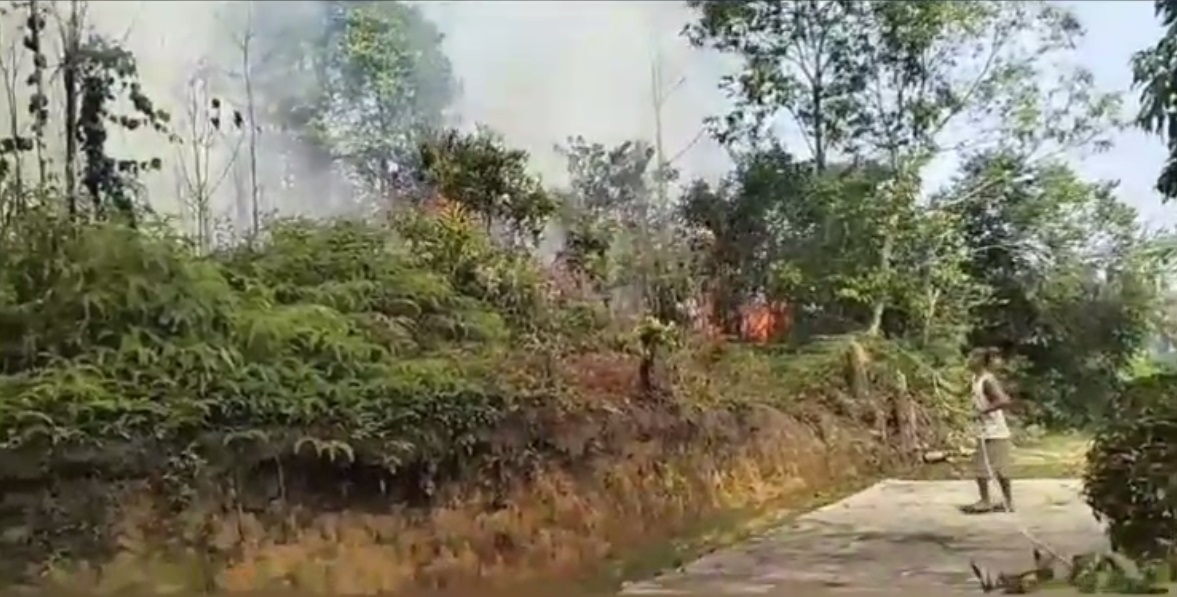 Kebakaran Lahan Merambat Ke Atap Rumah Warga 