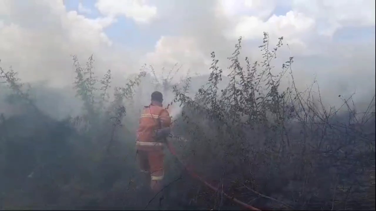 Lahan Kosong di Tanjung Sari Terbakar, Api Diduga Berasal Dari Puntung Rokok