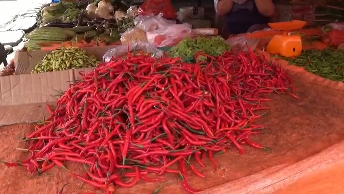 Dampak Gagal Panen, Harga Cabai Merah di Muaro Jambi Sentuh Rp120 Ribu/Kg