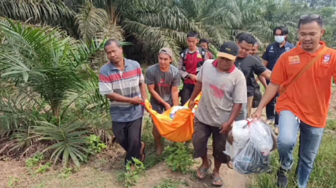 Penyadap Karet Ditemukan Meninggal di Dalam Pondok Perkebunan 