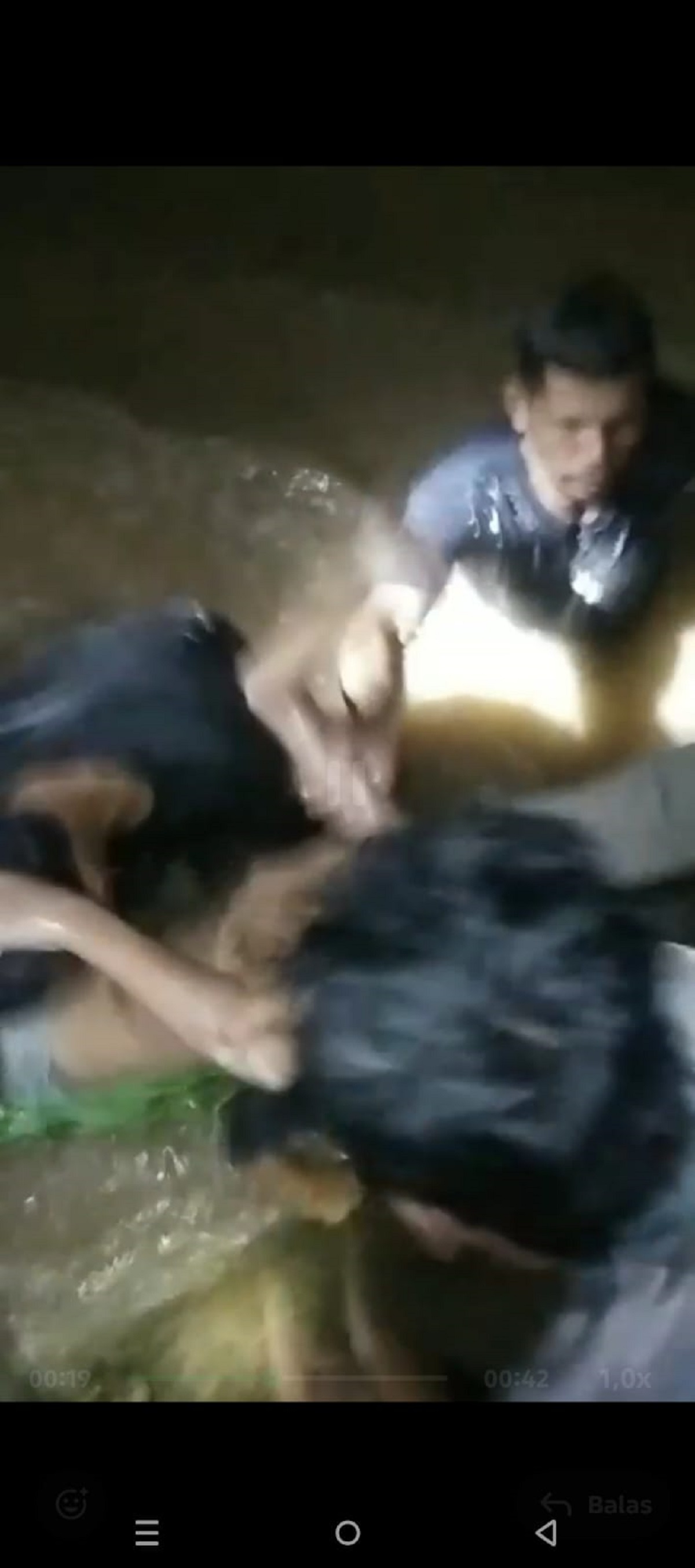 Sempat Dinyatakan Hilang Tenggelam Di Sungai Buntung, Fariz Ditemukan Meninggal Dunia