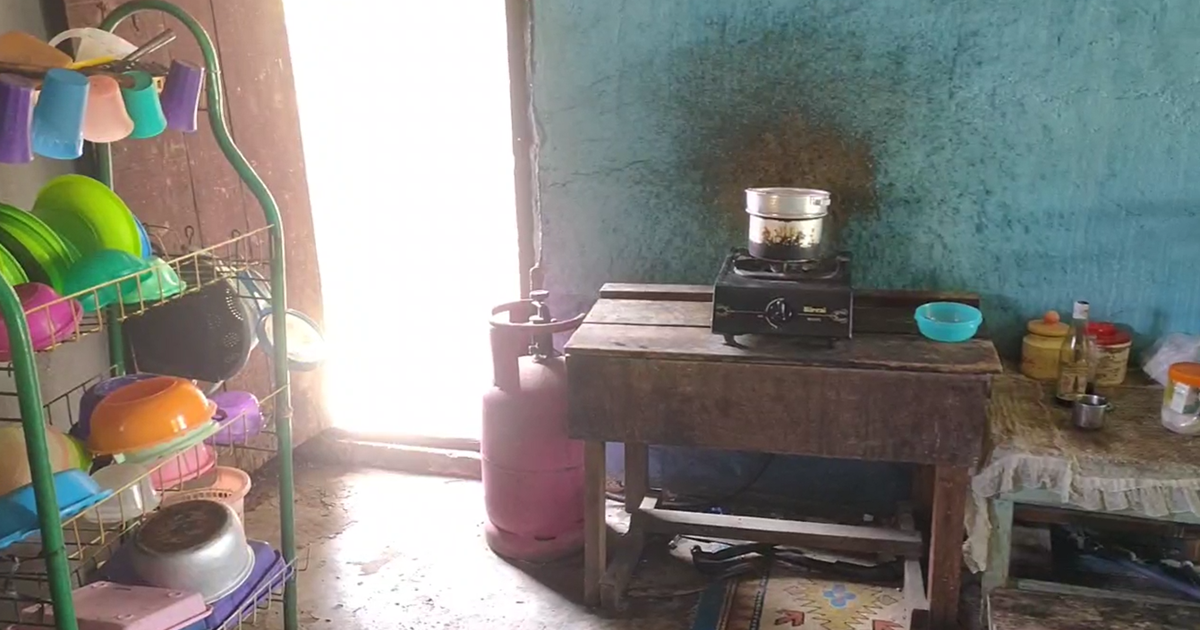 Faktanya Nenek Nelly Hidup Berdampingan Dengan Keluarga