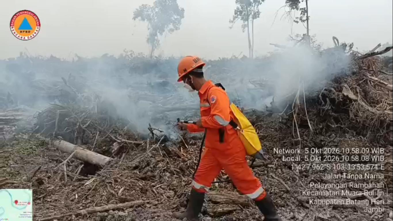 Tiga Titik Karhutla Terbakar di Batang Hari, Luas Lahan Capai 4,5 Hektare