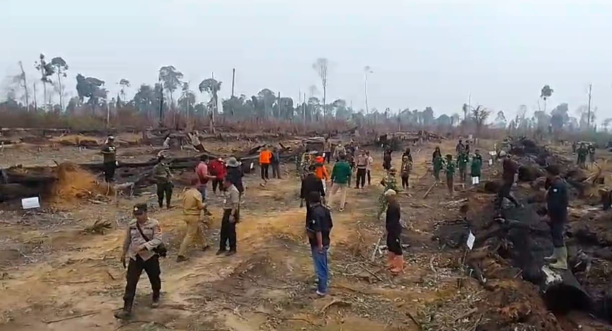 PT ABT Tanam Bibit Pohon di Bekas Lahan Terbakar