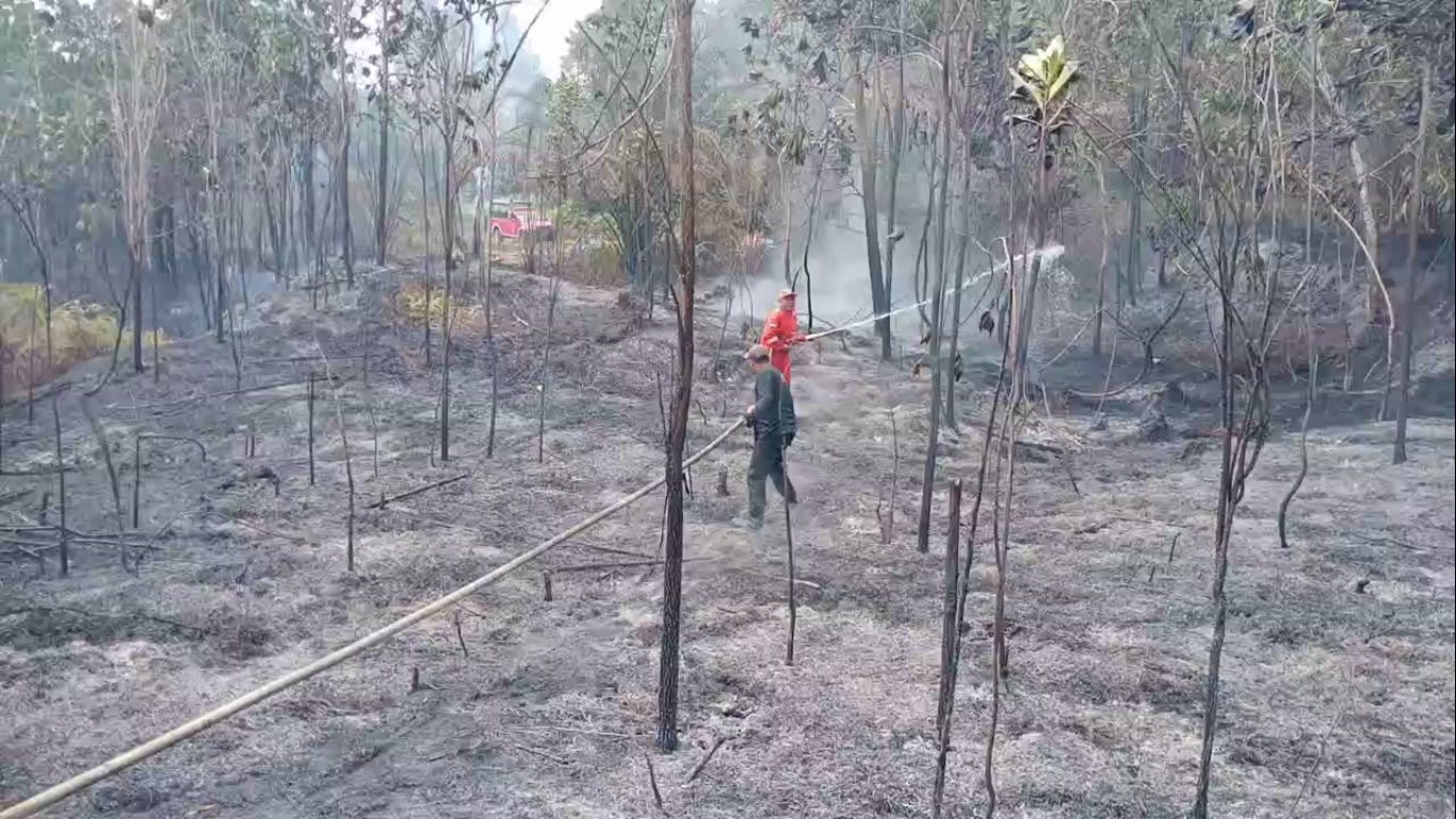 Dalam Sehari, Kebakaran Lahan Terjadi di Dua Desa di Kabupaten Batanghari 