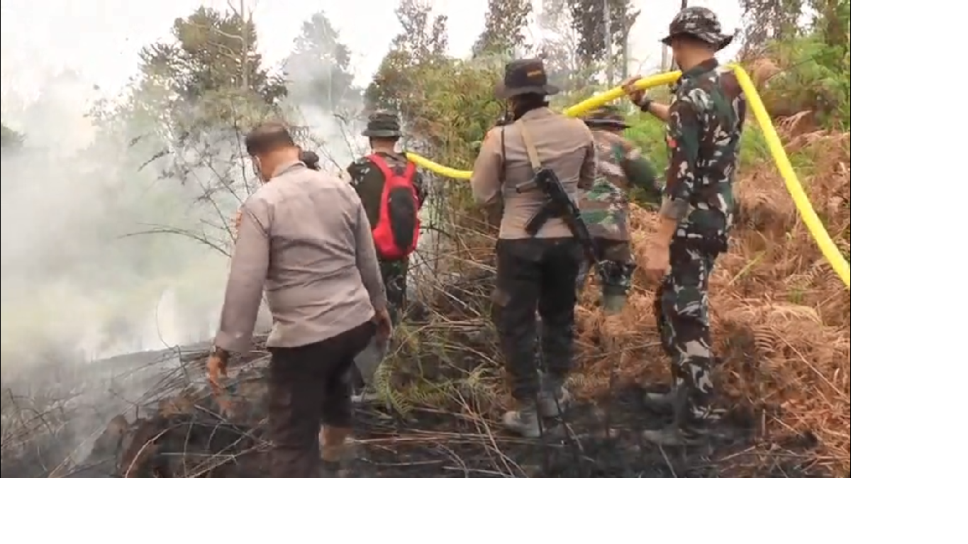 Api Terus Berkobar, Satgas Karhutla Jambi Kerahkan Empat Helikopter