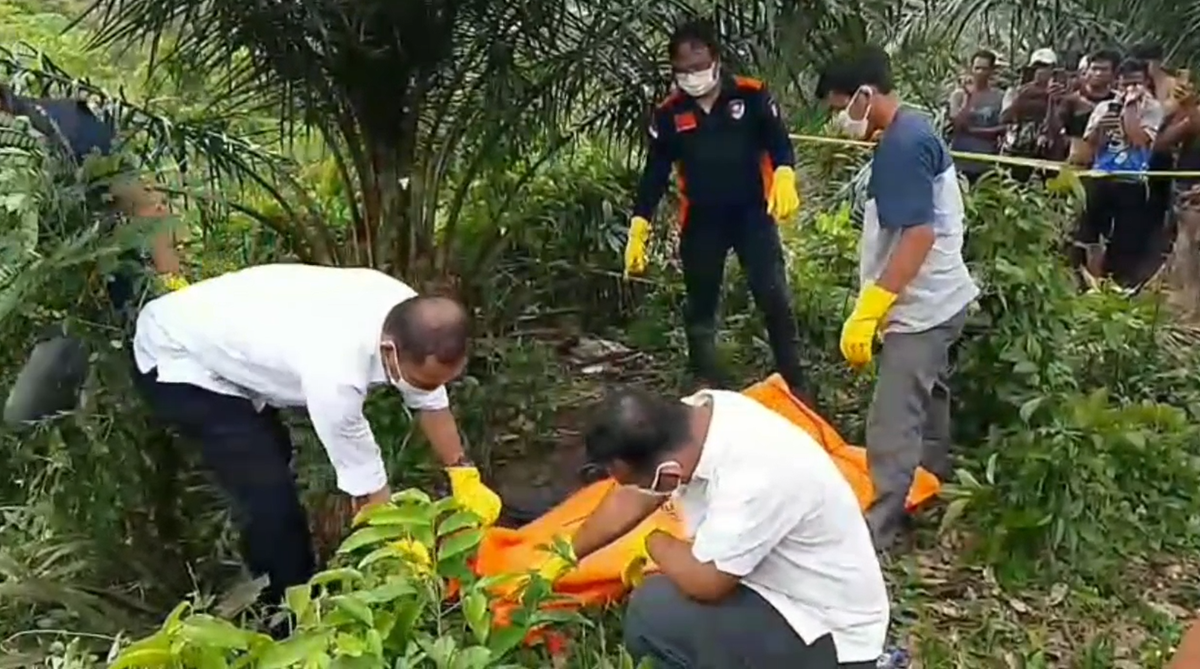 Mayat Seorang Pria Di Temukan Membusuk Di Kebun Sawit