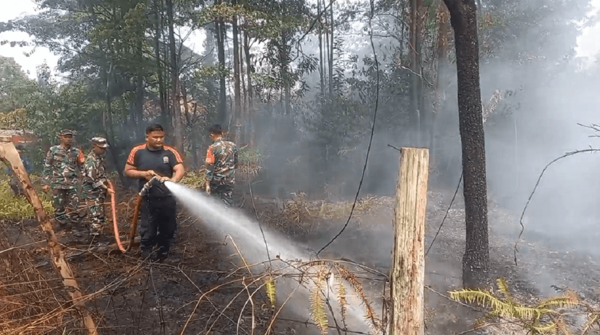 Meski Sudah Masuk Musim Hujan, Titik Hotspot Karhutla di Sarolangun Masih Ditemukan