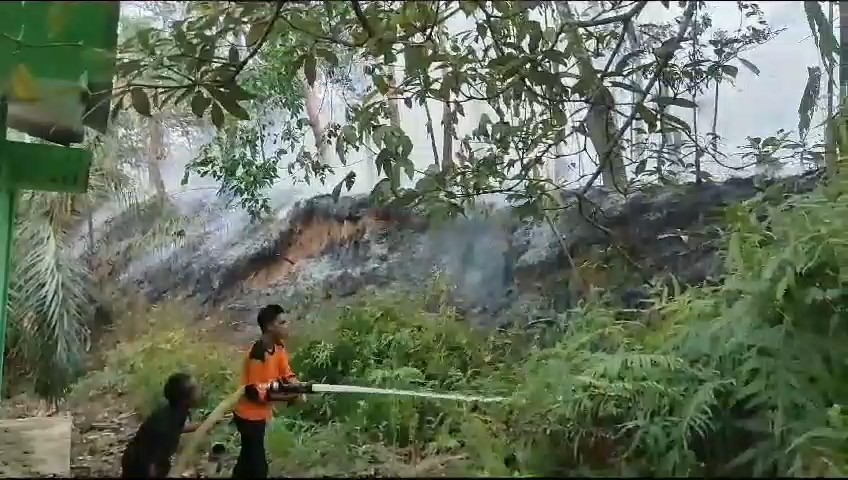 Kebun Karet di Belakang Kantor Desa Sungai Alai Terbakar