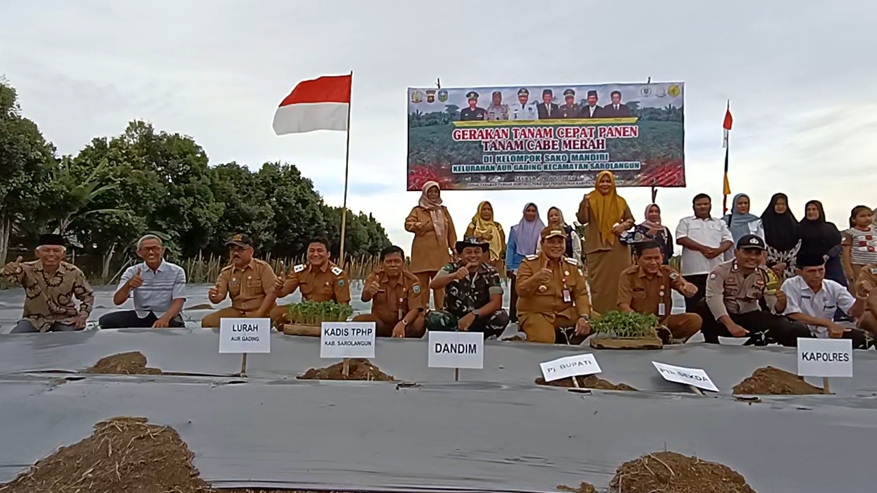 Bersama Kelompok Tani, Pj Bupati Ikut Langsung Tanam Cabe Merah 