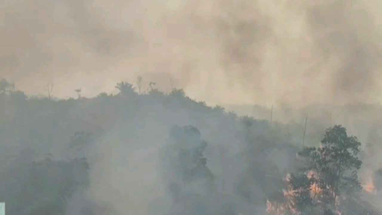 Waspada Karhutla di Batang Hari, Status Tanggap Darurat Diperpanjang hingga 20 Oktober