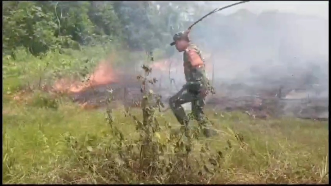 Lagi – Lagi Tumpukan Batu Bara Sebabkan 2,5 Hektar Lahan Kosong Terbakar 