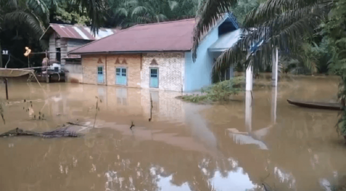 Banjir di Tembesi, 200 Unit Rumah dan Lahan Perkebunan Warga di Rantau Kapas Tuo Terendam 