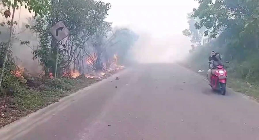 Kebakaran Lahan di Sridadi, Luas Lahan Yang Terbakar Mencapai 10 Hektar