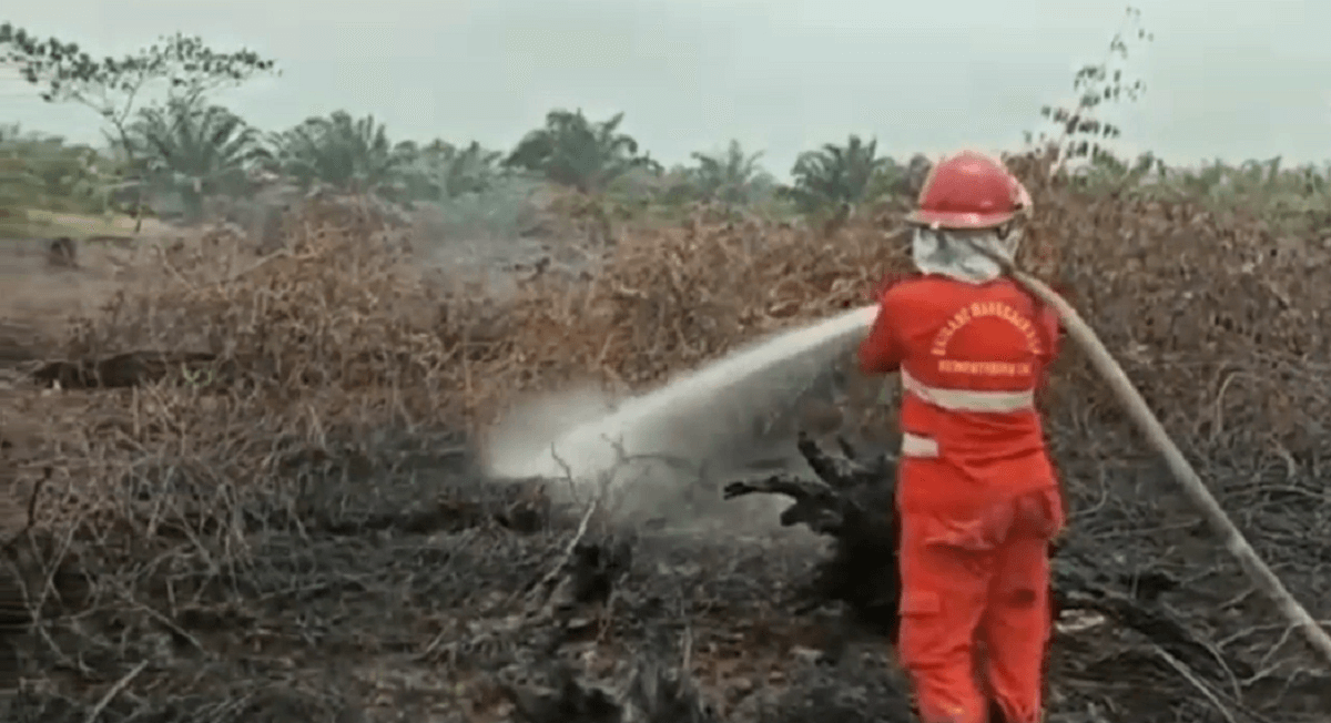 4 Kabupaten di Provinsi Jambi Tetapkan Status Siaga Darurat Karhutla