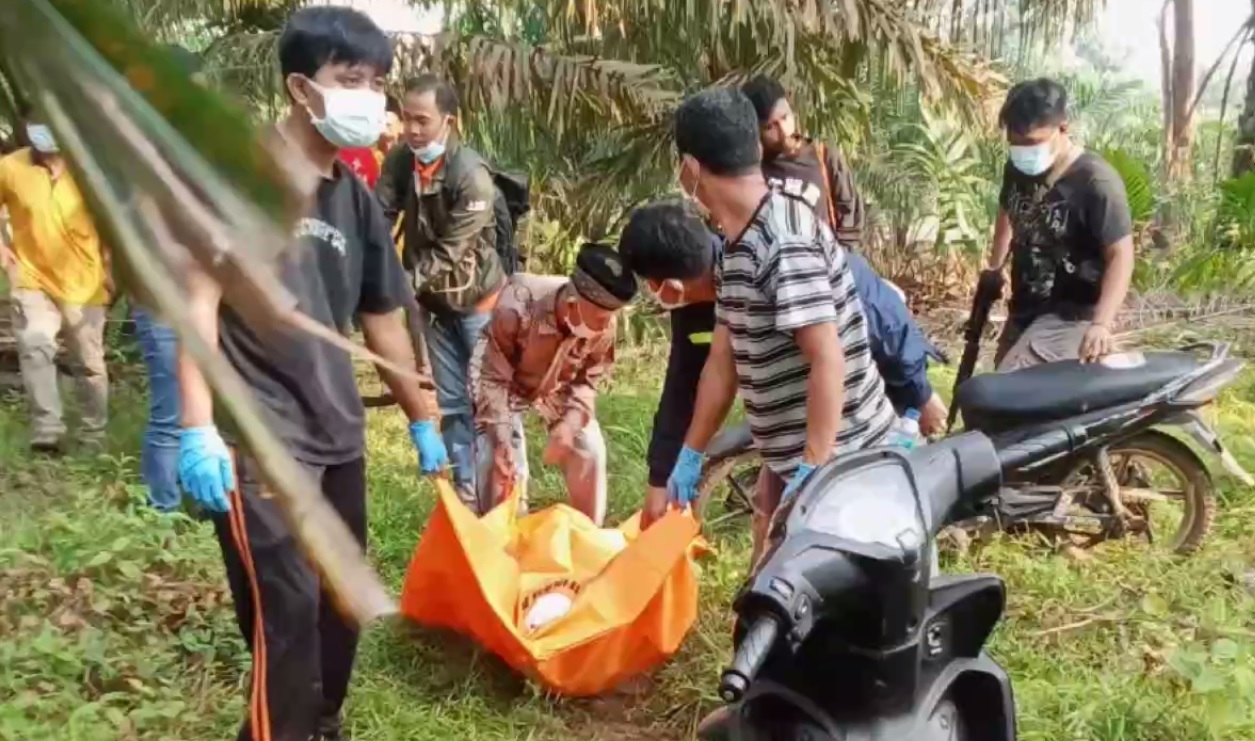 1 Bulan Menghilang, Seorang Perempuan Ditemukan Tewas dan Terkubur di Kebun Sawit