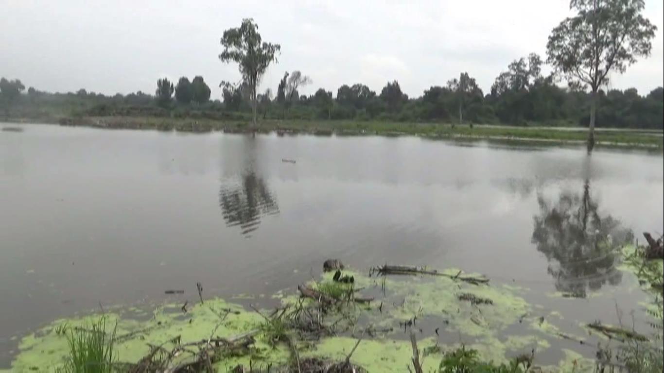 600 Hektar Lahan CSR di Batang Hari Terendam Banjir, Proses Tanam Padi Terhambat