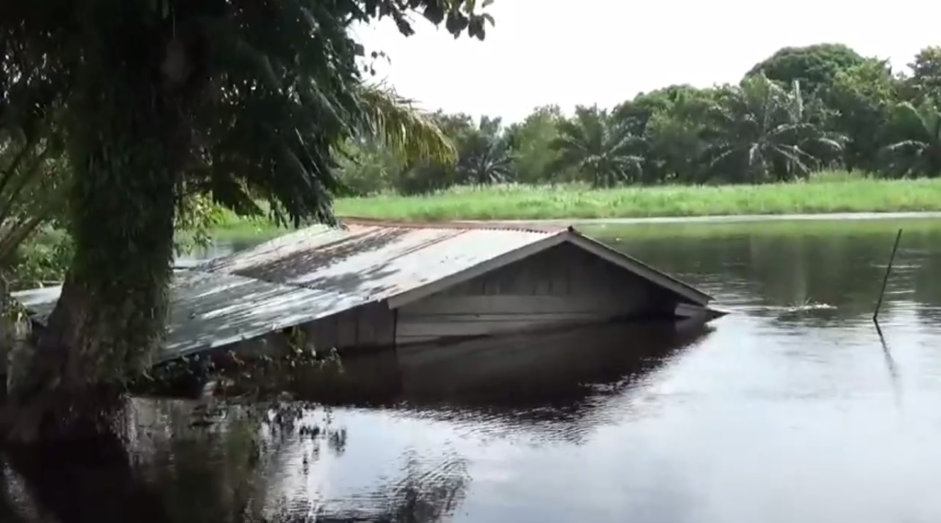 Dampak Bencana Banjir, 1 Rumah Warga di Desa Seponjen Hanyut Terbawa Arus Sungai 