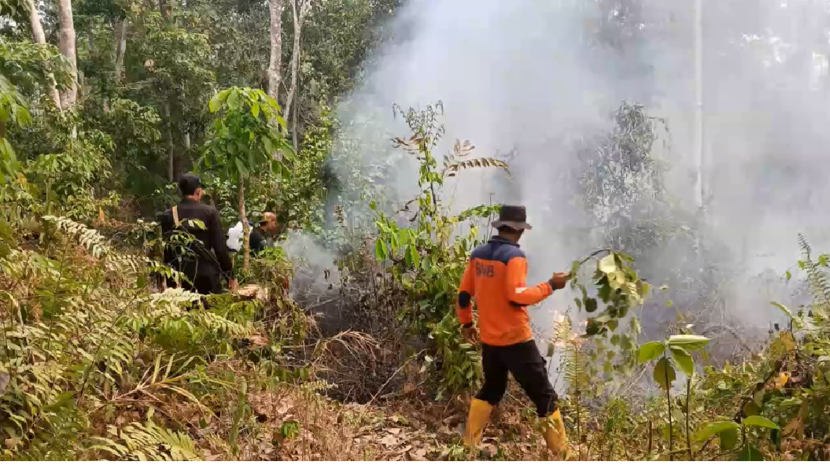 Karhutla di Batang Hari Meluas, Empat Hektare Lahan Perkebunan Karet Terbakar di Bajubang
