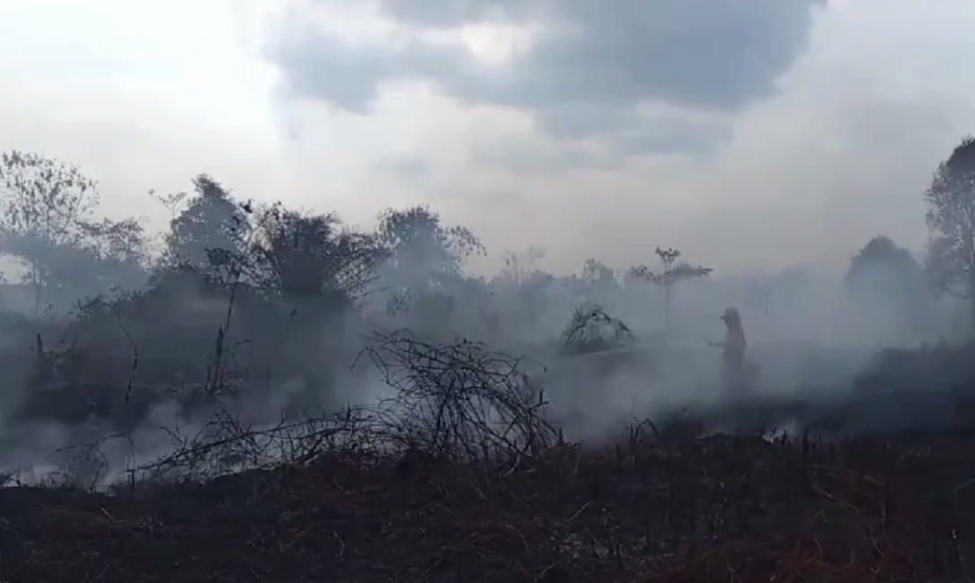 Kebakaran Lagi di Desa Lubuk Kepayang, 3 Hektar Lahan Gambut Terbakar 