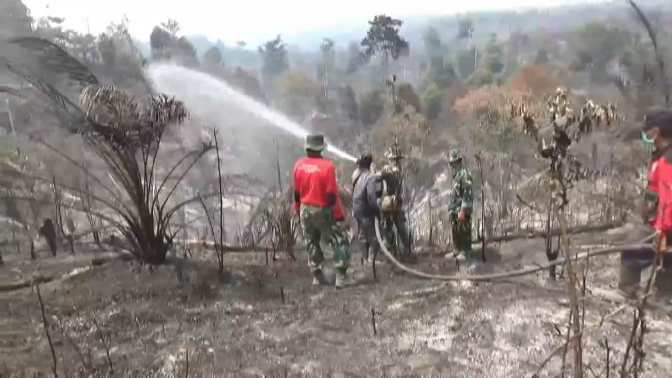 677,3 Hektare Kawasan Tahura Sultan Thaha Syaifuddin di Batang Hari Hangus Terbakar