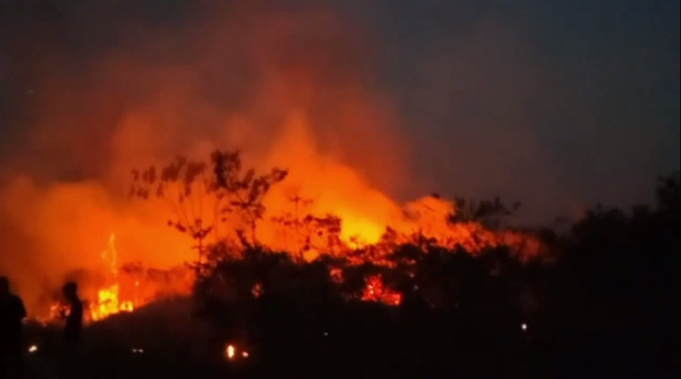 Kasus Karhutla Di Batanghari, 249 Hektar Lahan di 8 Kecamatan Hangus Terbakar