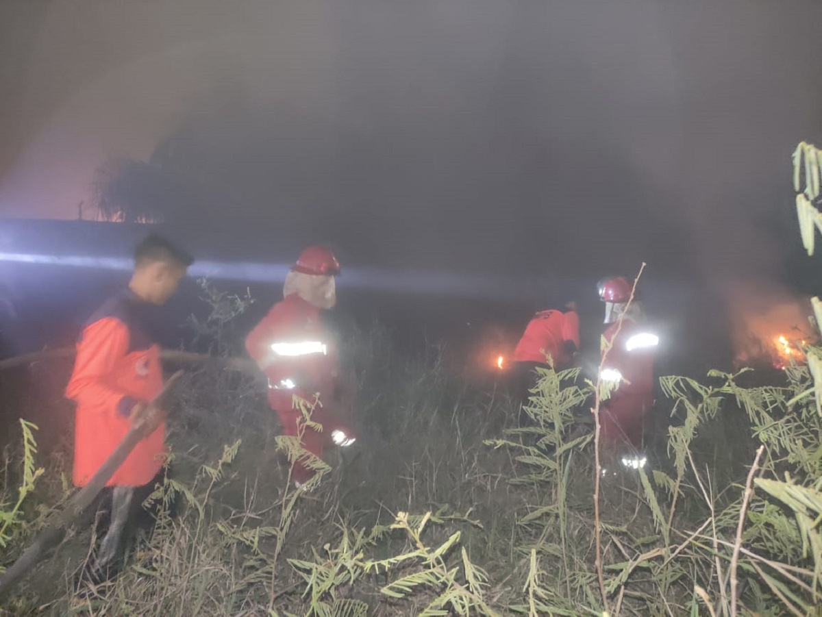  Dalam Sehari, Kebakaran Hutan dan Lahan di Muaro Jambi Terjadi di 3 Lokasi