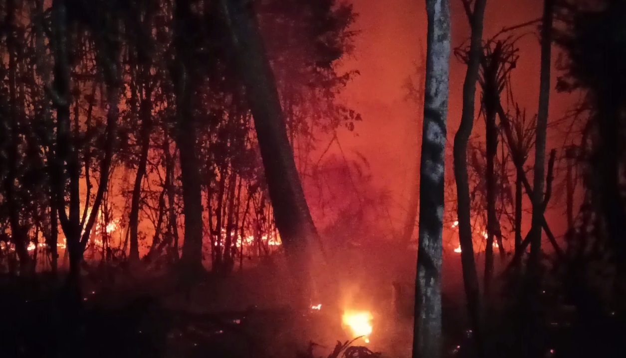 Pasca Kebakaran Lahan di Kelurahan Pasar Baru, Polisi Lakukan Penyelidikan 