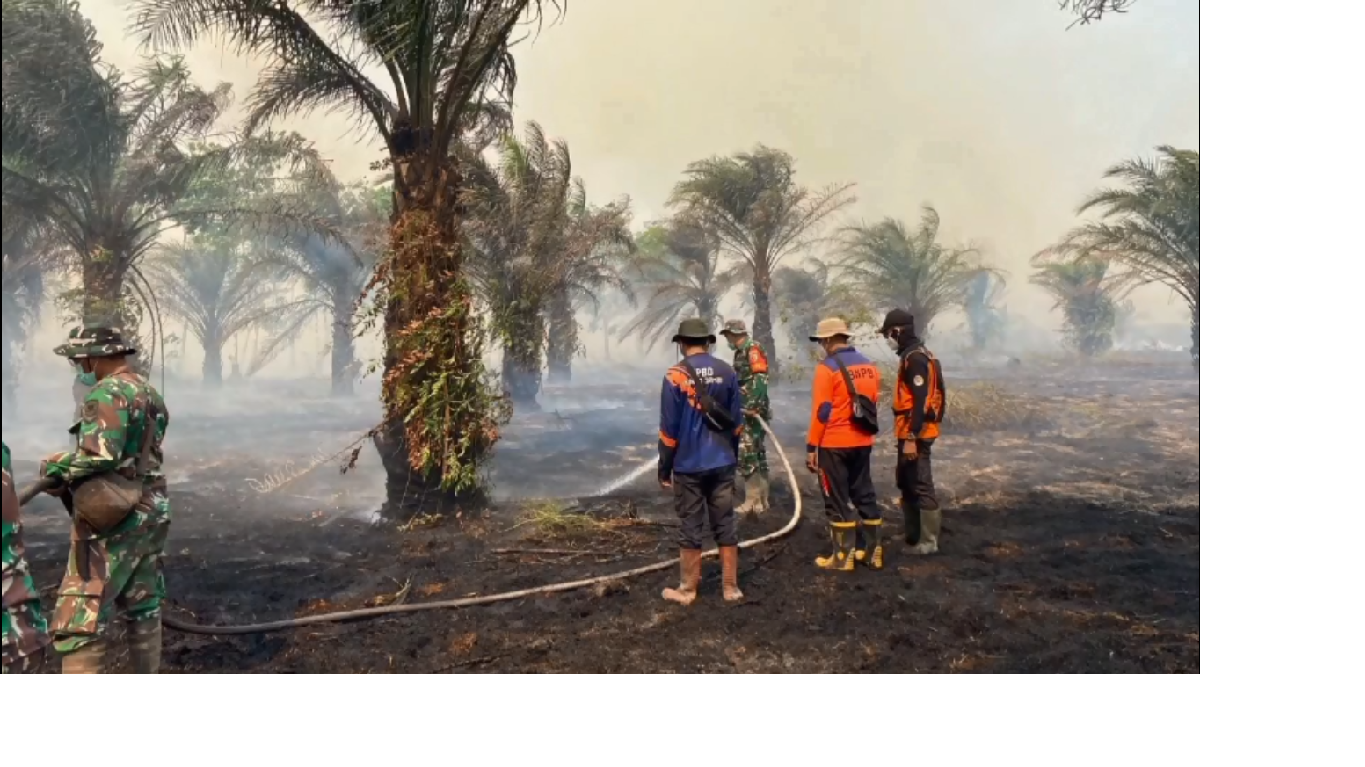 Dampak Karhutla, Kabut Asap Pekat Selimuti Muaro Jambi, ISPU Capai Level Berbahaya
