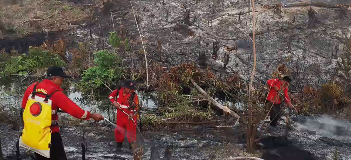 BPBD Batang Hari Siagakan 38 Personel Antisipasi Karhutla