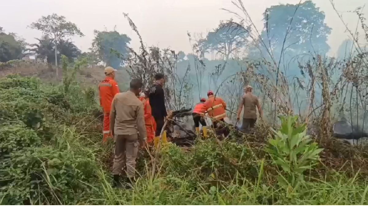 Karhutla di Batang Hari, Dua Hektare Lahan Terbakar di Muara Bulian