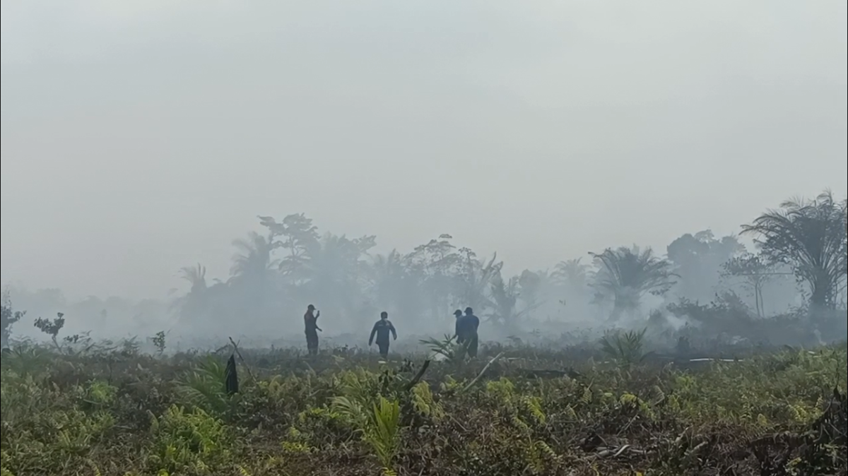 Karhutla Makin Meluas, Pemkab Sarolangun Naikkan Status Jadi Tanggap Darurat