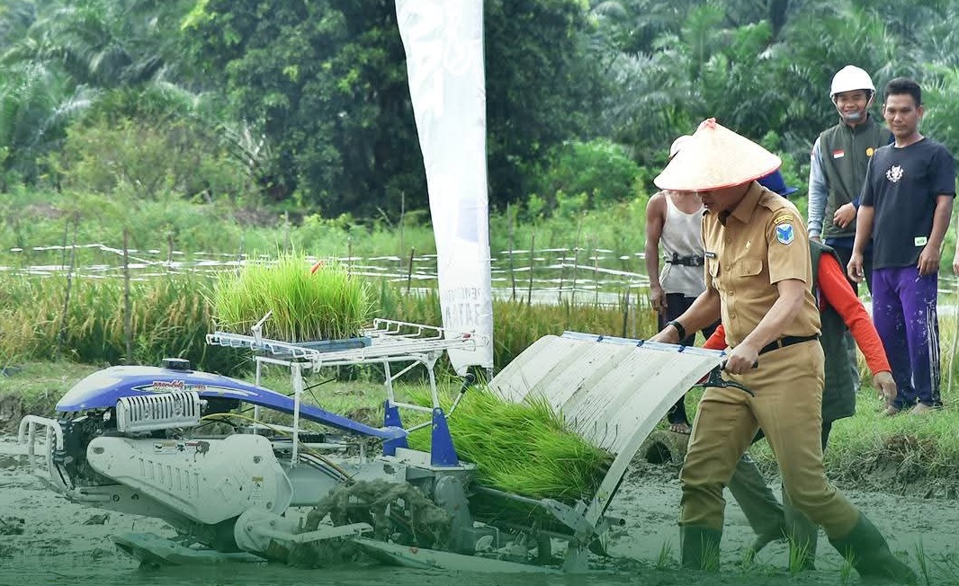 Sasaran Tanam Padi 2026, Pemkab Batang Hari Targetkan Seluas 9.000 Hektar